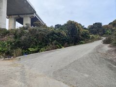 -长门炮台