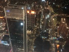 -顶鲜101美食美景餐厅