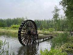 -合肥滨湖国家森林公园