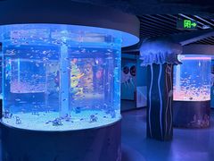 -海合安成都极地海洋公园