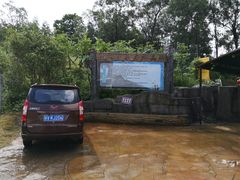 -客天下恐龙水晶玻璃桥