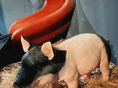 -E+有冰工厂·昆仑寒宫2(五角场店)