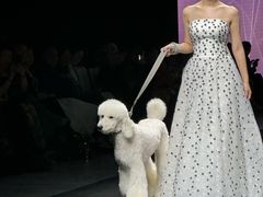 -交通银行前滩31演艺中心