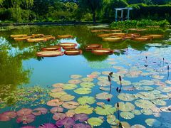 -国家植物园南园