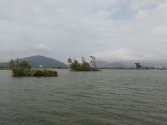-芒洲湿地公园