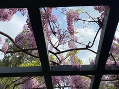 -北京市劳动人民文化宫(太庙)