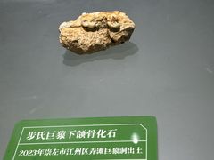 -广西壮族自治区博物馆