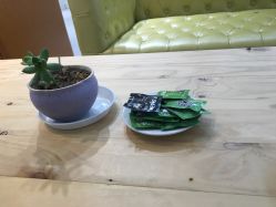 -P.STYLE派斯造型