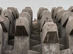 -上海滨江森林公园