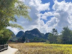 -靖西鹅泉风景区