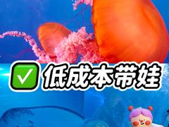 -太平洋海底世界