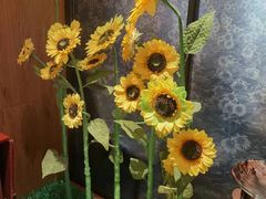 -巴盟人家·内蒙地方菜(华丽家族店)