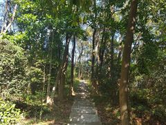 -广州市帽峰山景区