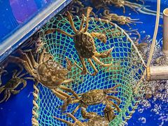 -阳澄湖大闸蟹·琼灵阁牌品牌连锁(吴中总店)