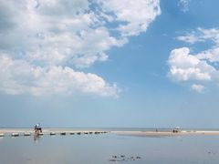 -日照海滨国家森林公园