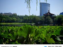 -青城公园