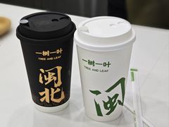 -一树一叶·福建茶档(石鼓路店)