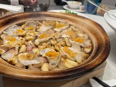 -新吉士·上海菜(浦东LCM置汇旭辉店)
