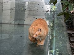 -复旦大学附属华山医院(总院)