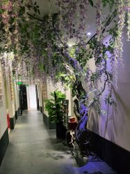 -盘子女人坊生日照·摄影馆(华强店)