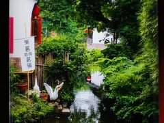 -西溪国家湿地公园