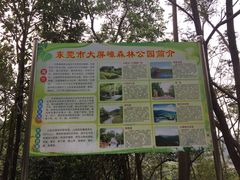 -大屏嶂森林公园