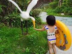 -碧桂园润杨溪谷温泉酒店