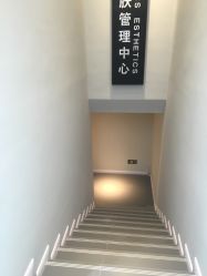 -三只熊皮肤管理中心旗舰店