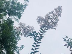 -春风十里咖啡馆