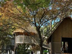 -宁波儿童公园(鄞州区)