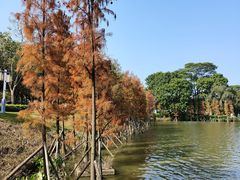 -顺峰山公园