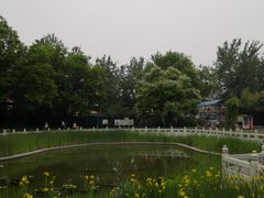 -丰台花园