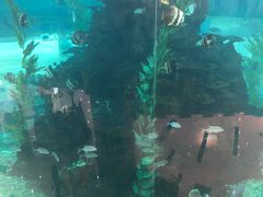 -鸿通城购物中心