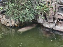 -长鹿旅游休博园