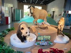 -陕西自然博物馆