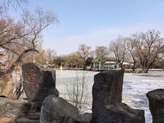 -北陵公园