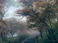 -岳麓山风景名胜区