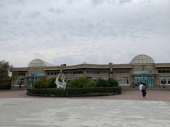 -中加枫华国际学校