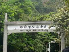 -银瓶嘴森林公园