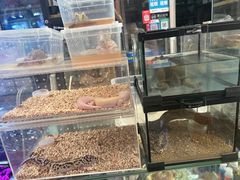 -上海沪太花鸟奇石市场·停车场