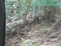 -白云源风景区