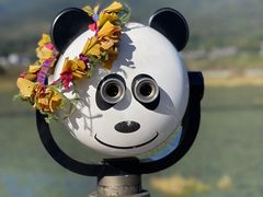 -腾冲北海湿地