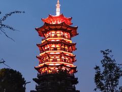 -洋湖国家湿地公园