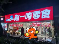 -赵一鸣零食(广州荔湾路店)