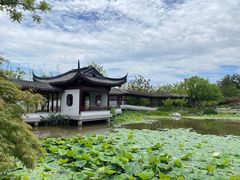 -上海滨江森林公园