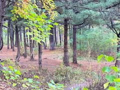 -帽儿山国家森林公园