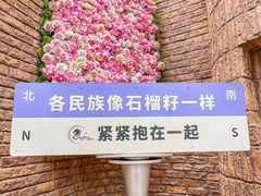 -伊带伊路新疆美食府(呼家楼店)