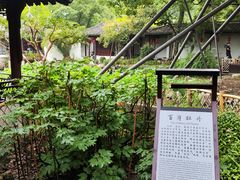 -上海醉白池公园