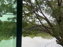 -广东花都香草世界旅游度假区
