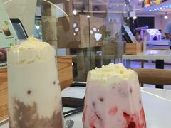 -喵园·猫主题咖啡厅·撸猫·猫咖(国贸店)